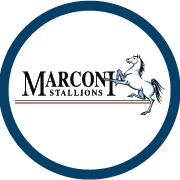马可尼U20 vs 新南威尔士大学U20